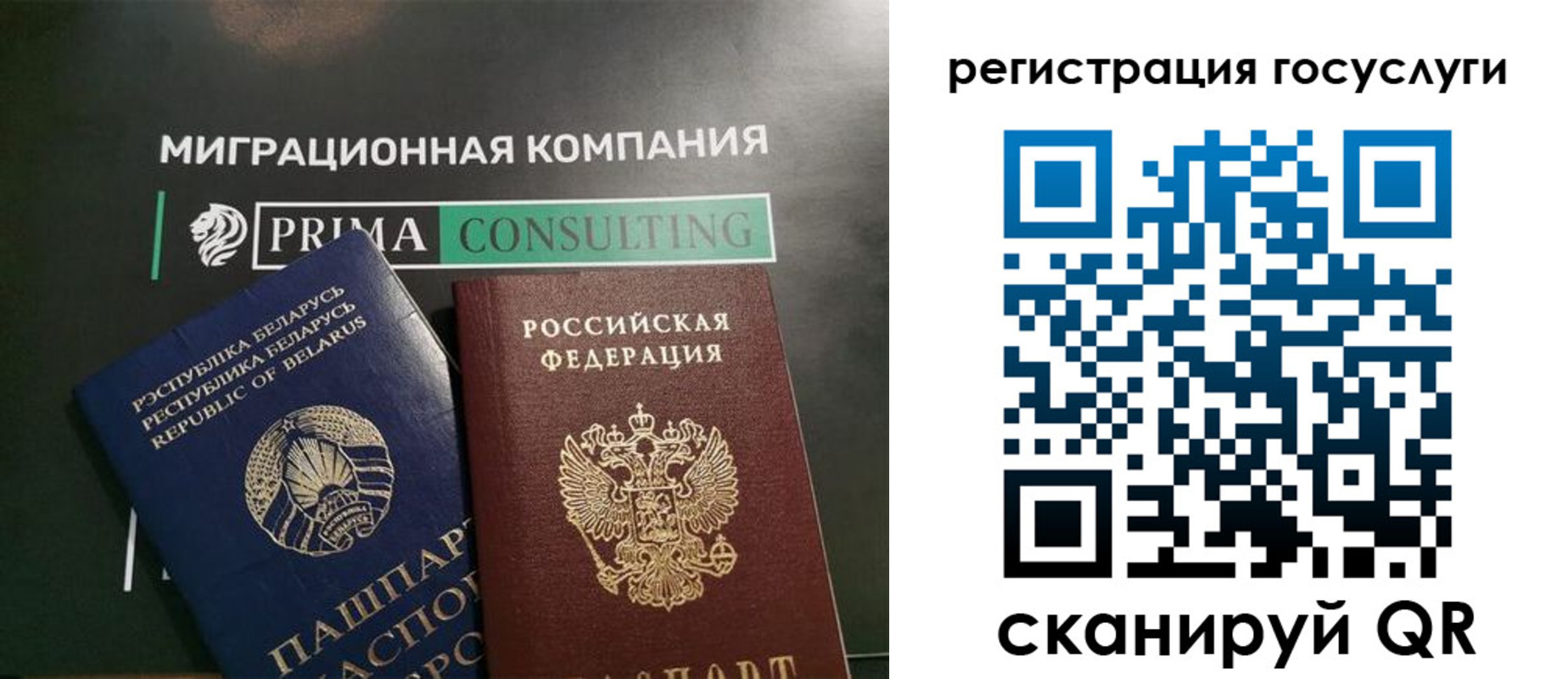 прописка гарантия в Сертолово